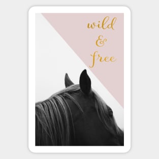 Wild & Free (Pink Horse) Sticker